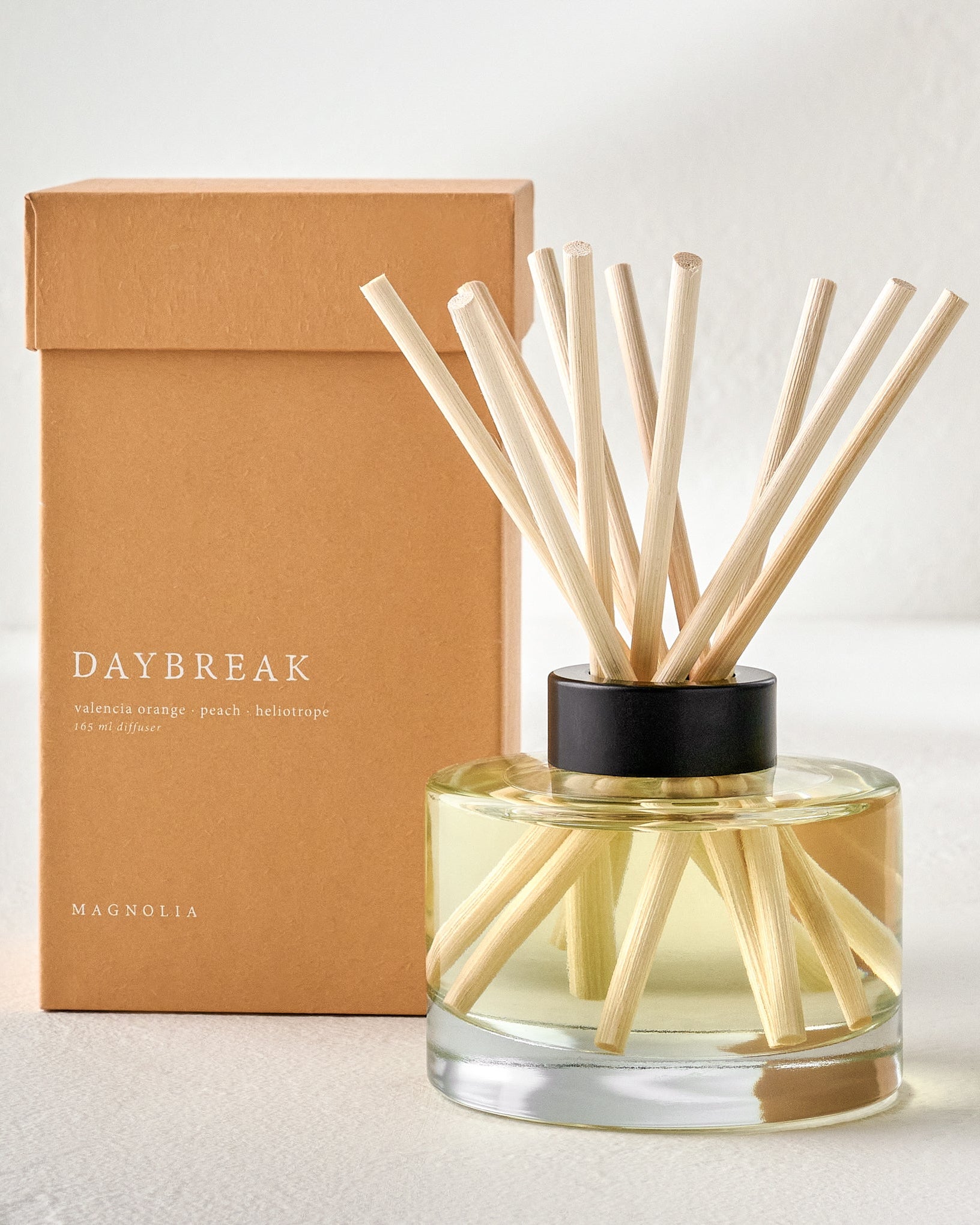 DBD165ML